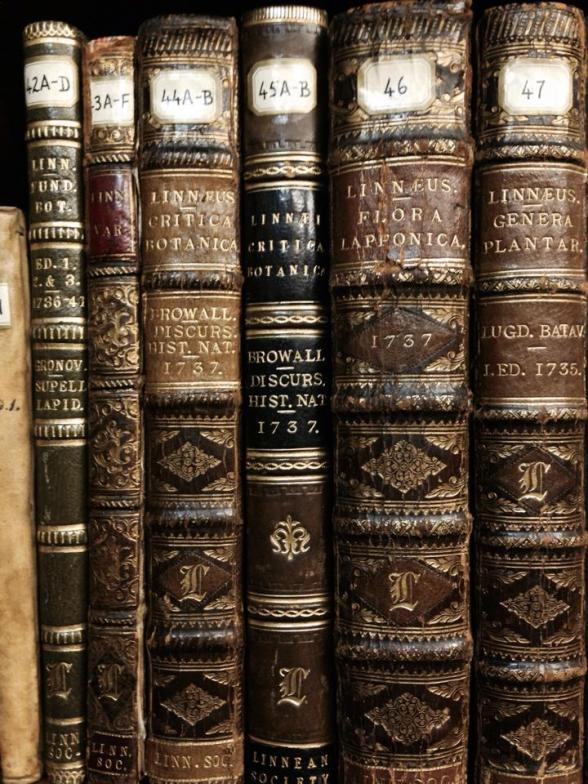 Linnaeus's books
