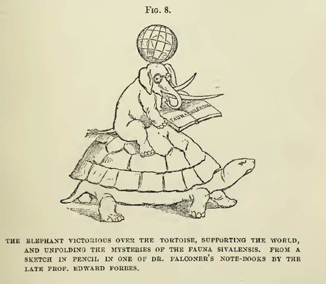 Forbes Elephant and Tortoise